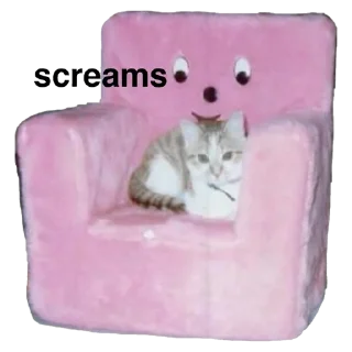 😹