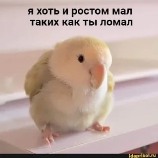🤬