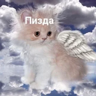 🥴