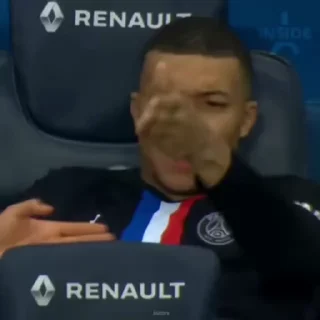 🐢