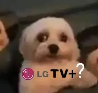 🏳️‍🌈