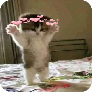 🫥