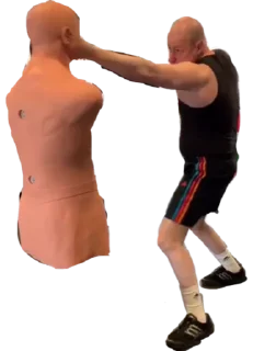 👊