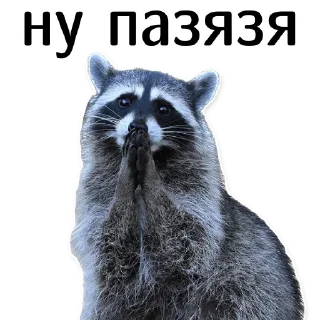 🙏