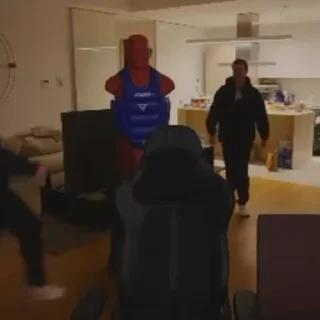 🥊
