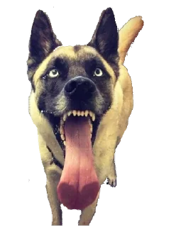 👅