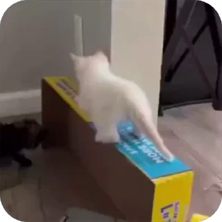 🥺