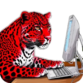 💻