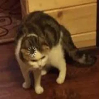 🤨