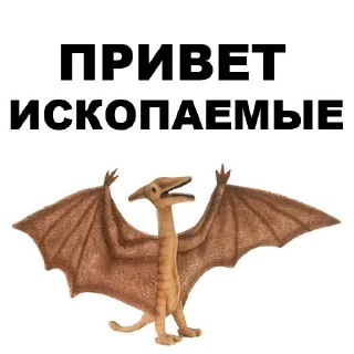 💪
