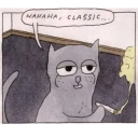 🐱