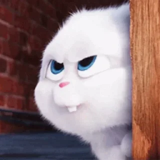 👀