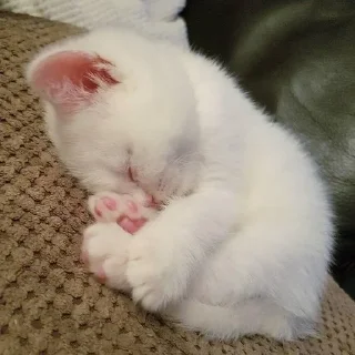 😴