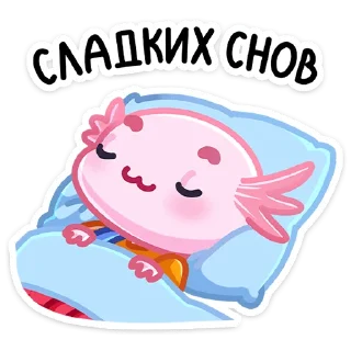 😴