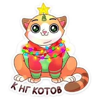 🐈