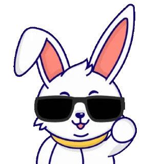 😎