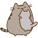 🐱