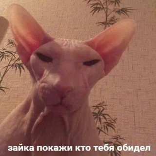 😡