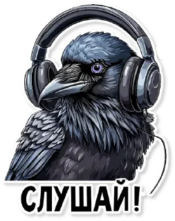 🎧
