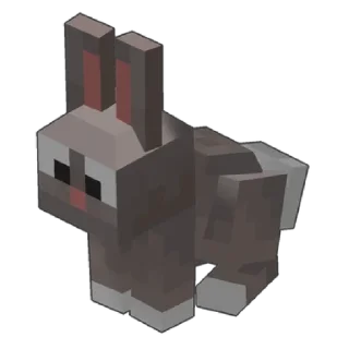 🐇