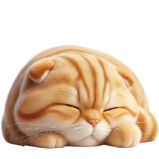😴