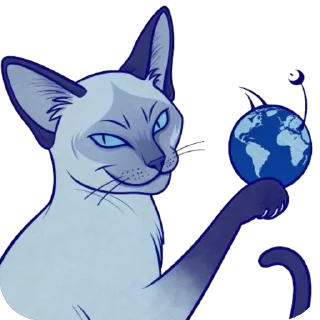🌍