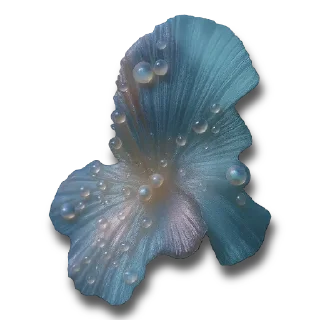 💙