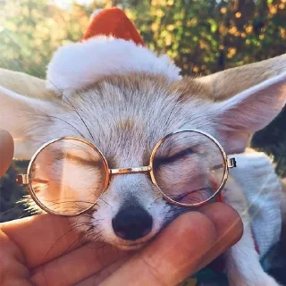 🤓