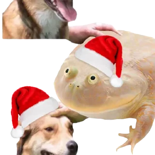 🎄