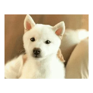 😜