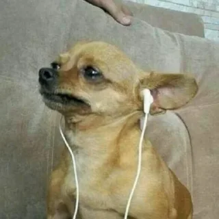 🎧