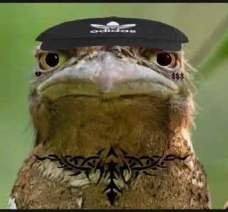 🪃