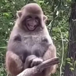 😂