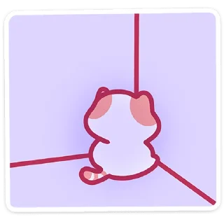 🐱