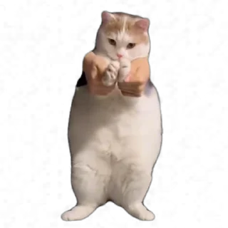 💃