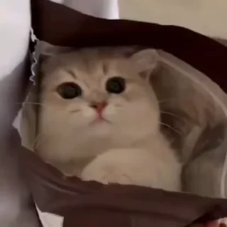 🥰