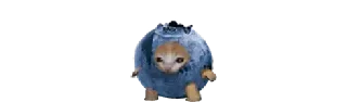 🫐
