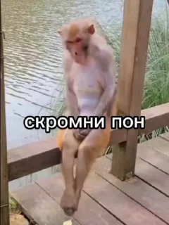 😳