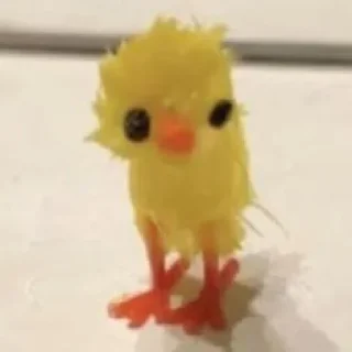 🤩