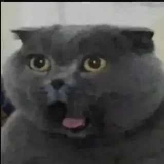 👻