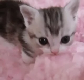 😋