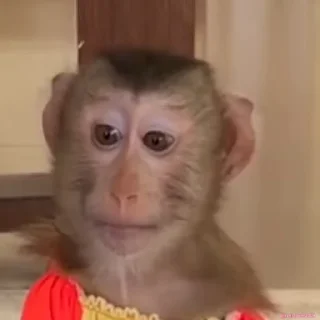 😕