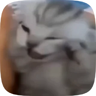 😤
