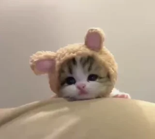 🌟