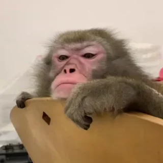 🥱