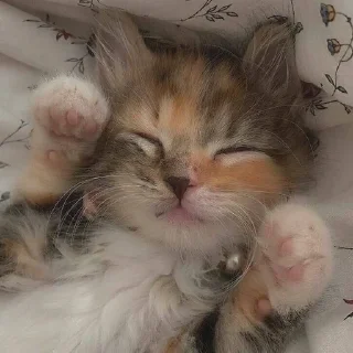 🥺