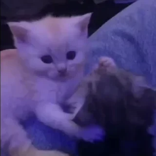 💗