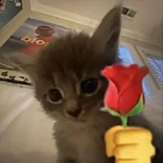 😍