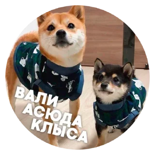 Sadness @stickersb2b