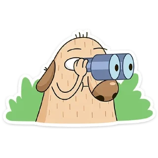 👀